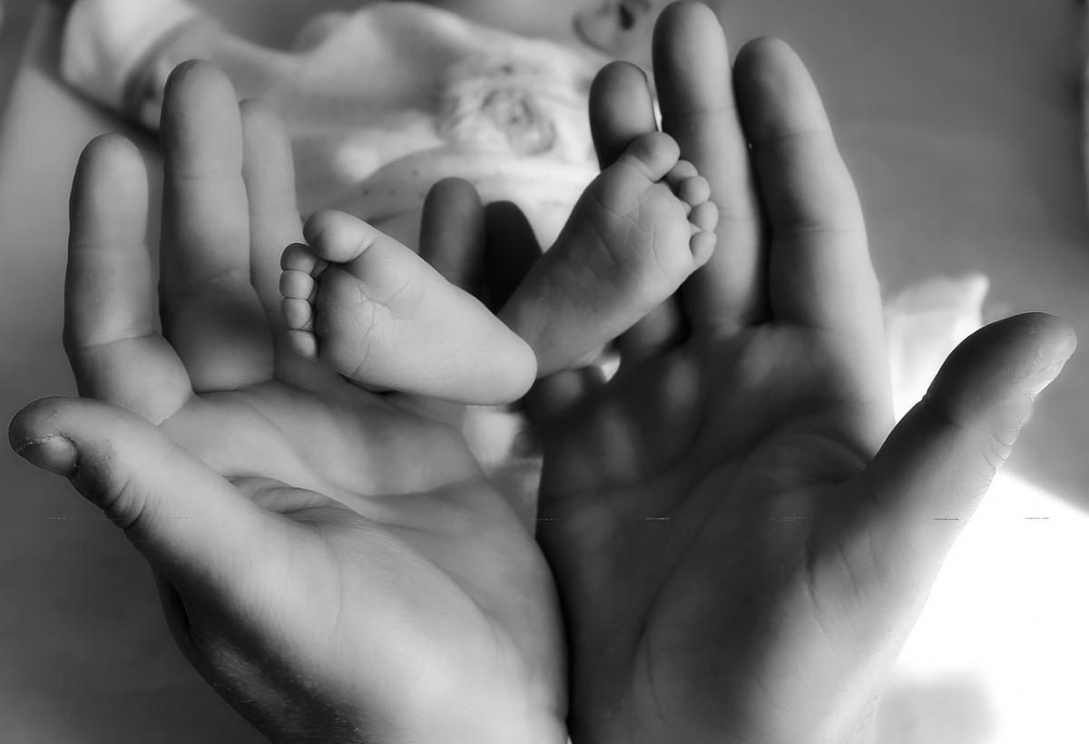 Baby's feet and hands pic